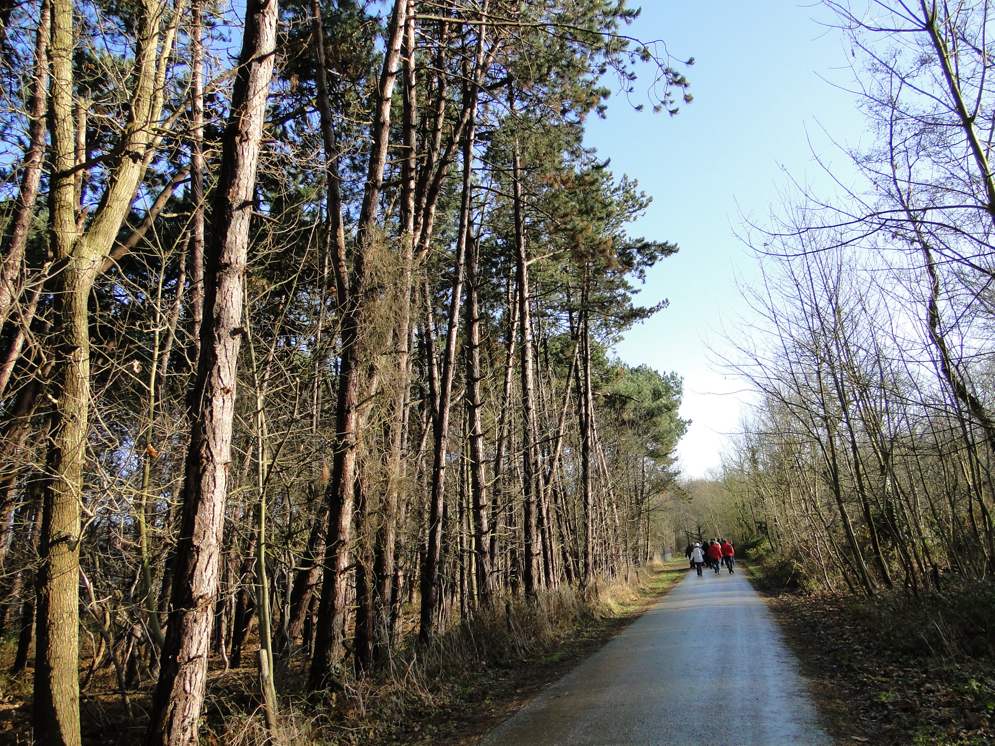 NWK 2010 183.jpg